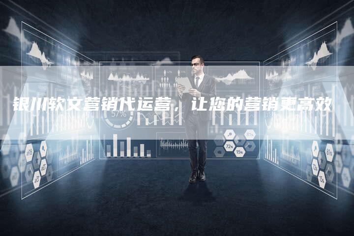 银川软文营销代运营，让您的营销更高效