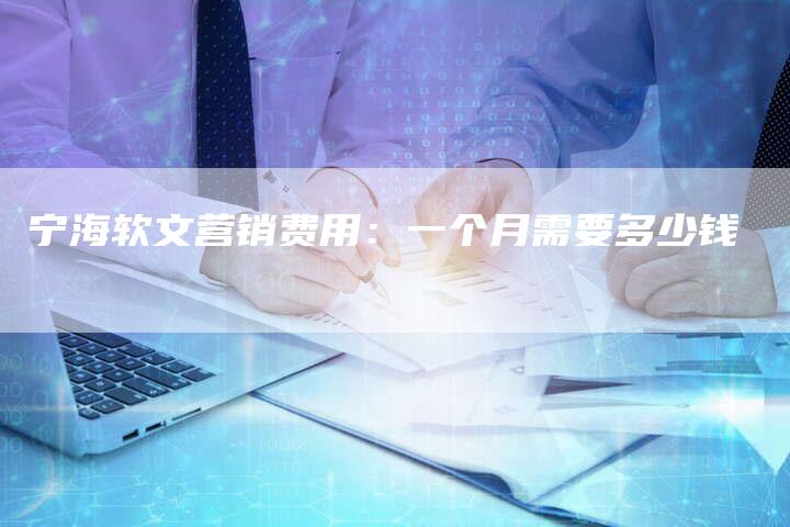 宁海软文营销费用：一个月需要多少钱