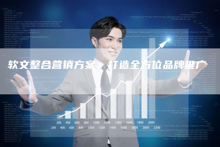 软文整合营销方案，打造全方位品牌推广